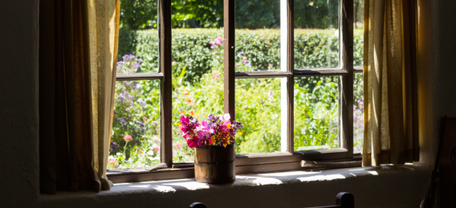 A pot of multi-coloured flowers on a windowsill with a sunny garden visible through the windows.