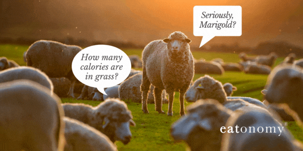 The words "Season's Bleatings" with a group of sheep in a field, one in the foreground asks "how many calories are in grass?", another replies "seriously Marigold?".